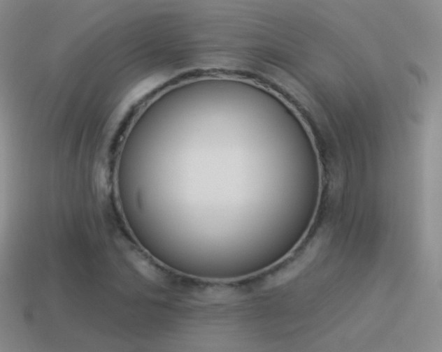 X0000114510974200910191129