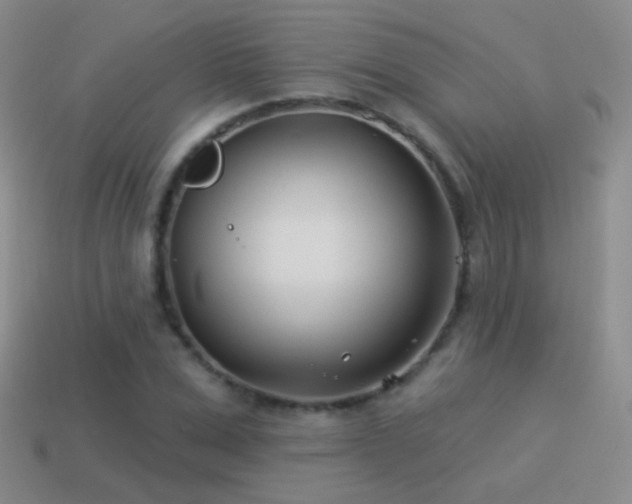 X0000114510975200910191129