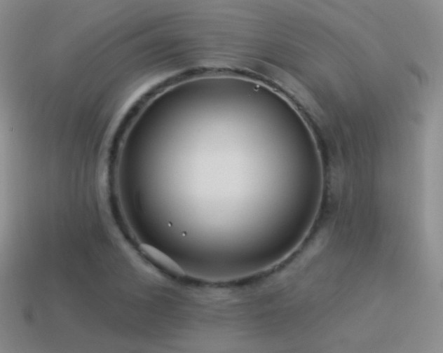 X0000114510976200910191129
