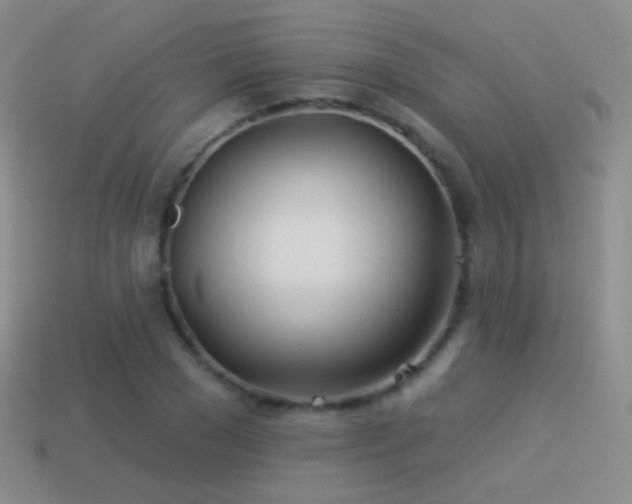 X0000114510977200910191129