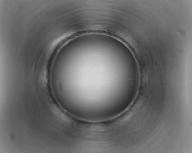 X0000114510979200910191129