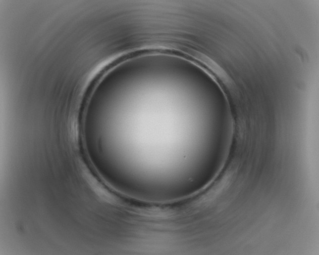 X0000114510980200910191129