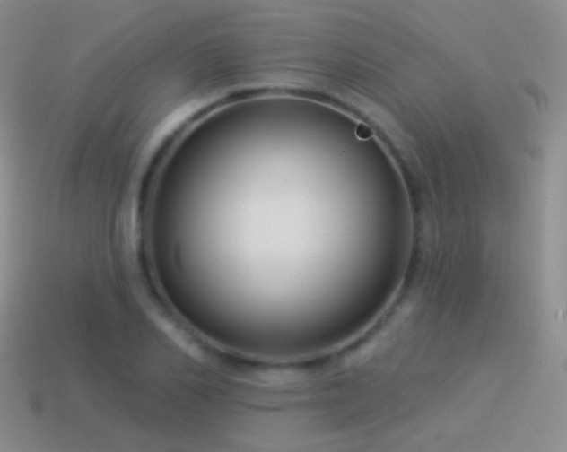 X0000114510982200910191129