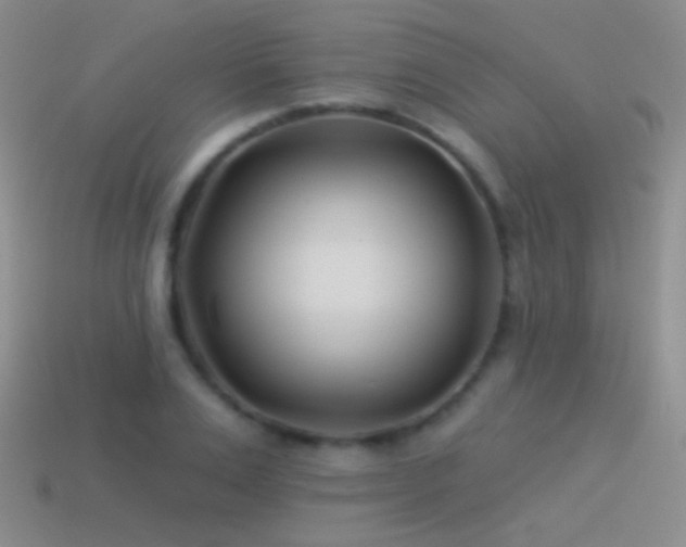 X0000114510983200910191129