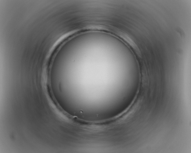 X0000114510984200910191129