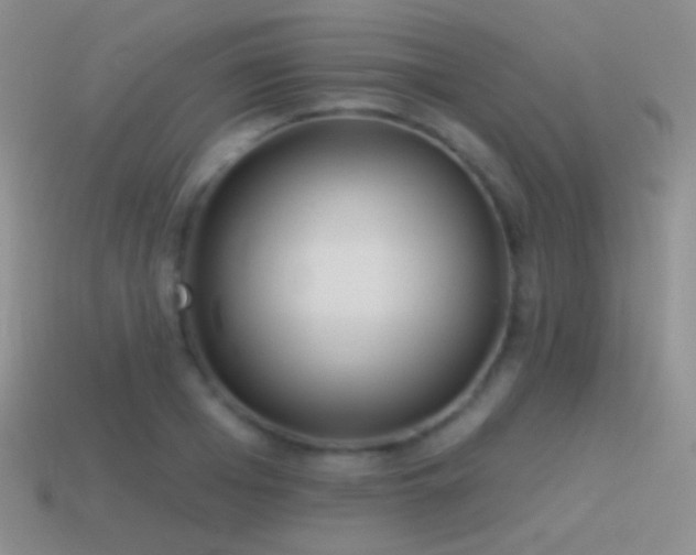 X0000114510985200910191129