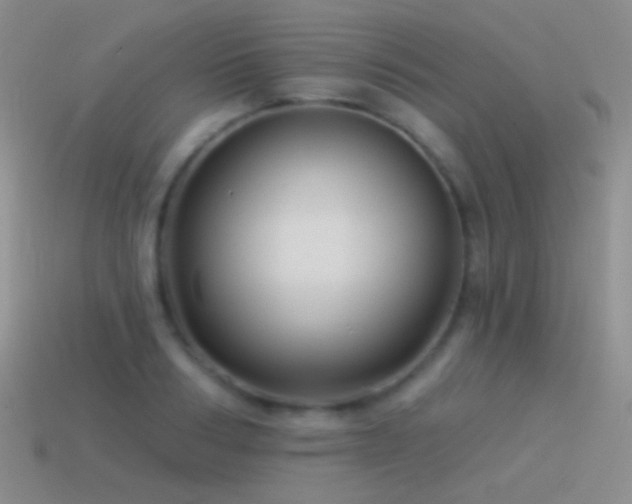 X0000114510986200910191129