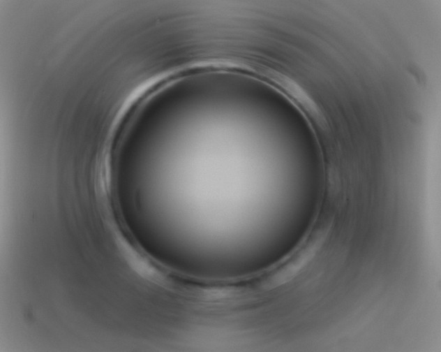 X0000114510988200910191129