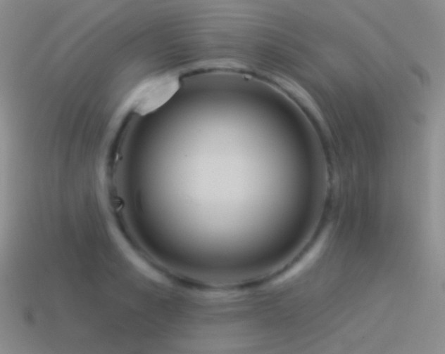 X0000114510989200910191129