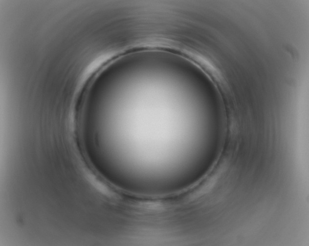 X0000114510990200910191129