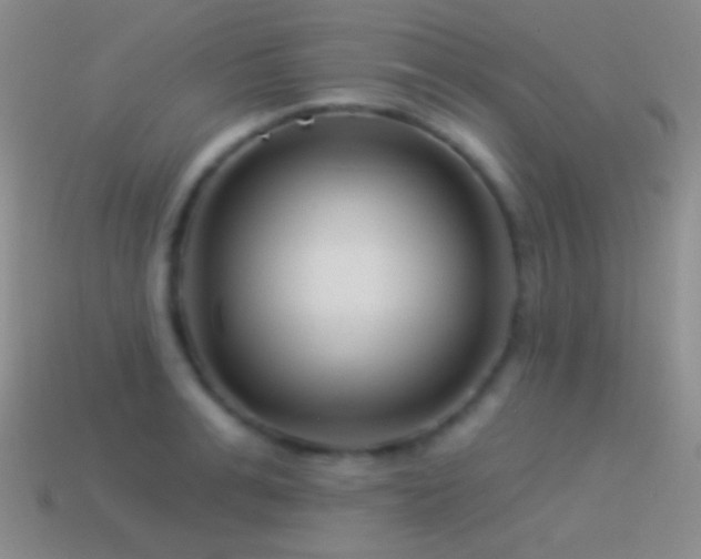 X0000114510991200910191129
