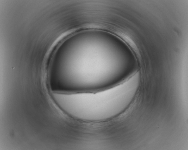 X0000114510992200910191129