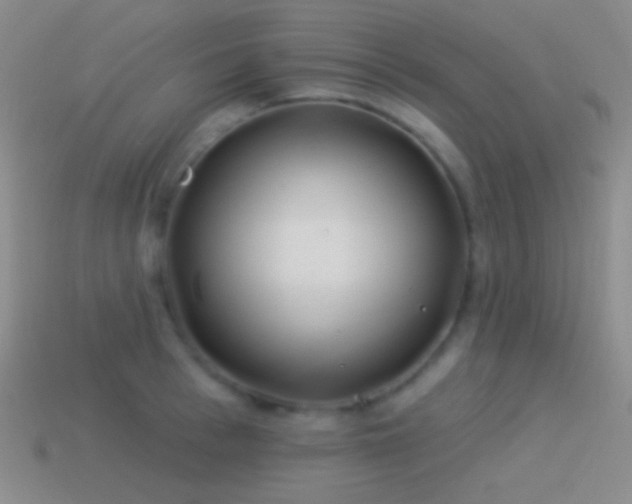 X0000114510993200910191129