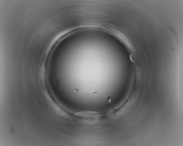 X0000114510996200910191129