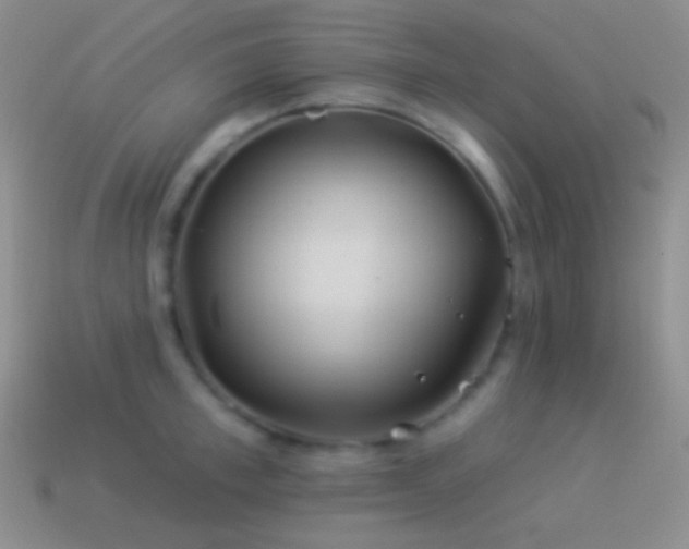 X0000114510997200910191129