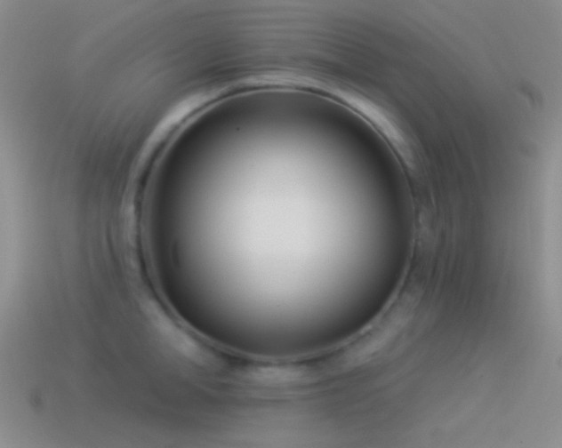 X0000114510998200910191129
