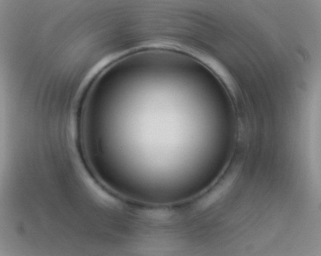 X0000114510999200910191129