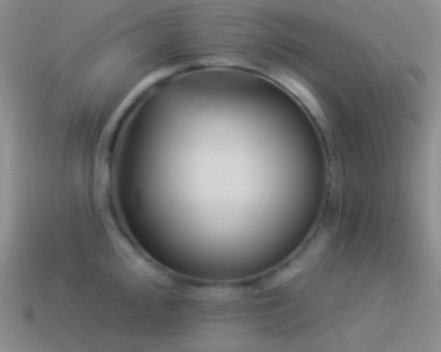 X0000114511000200910191129