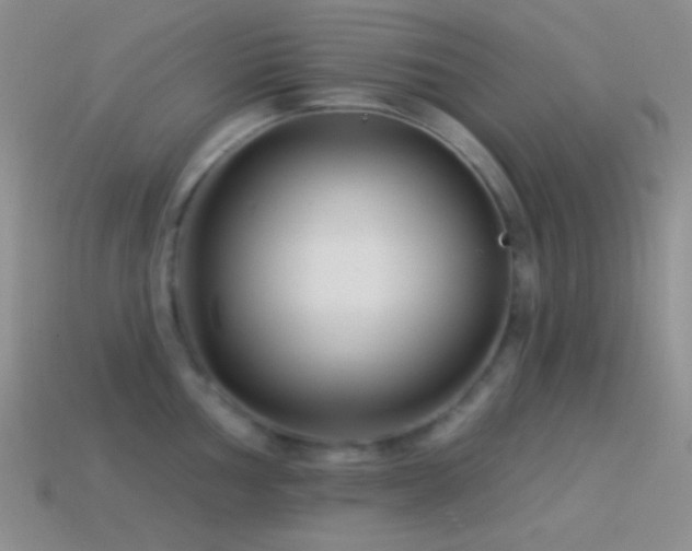 X0000114511002200910191129