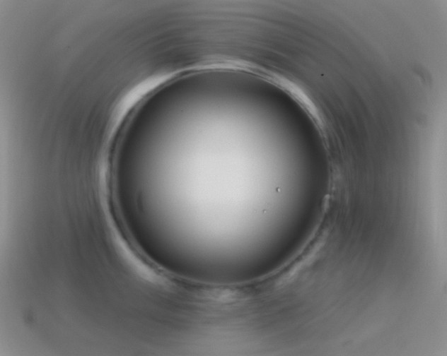 X0000114511003200910191129