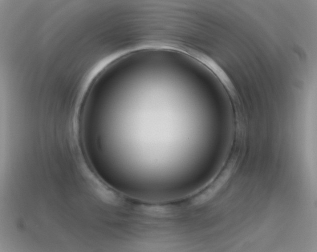 X0000114511004200910191128