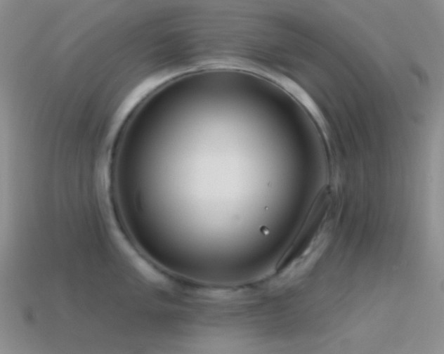 X0000114511005200910191128