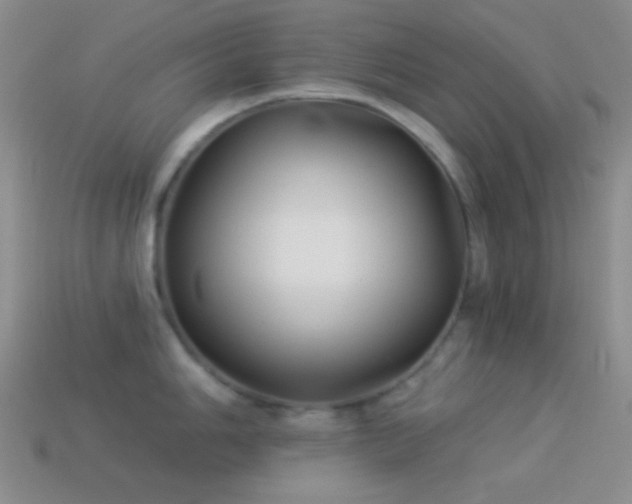 X0000114511006200910191128
