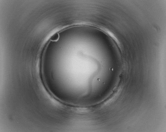 X0000114511007200910191128