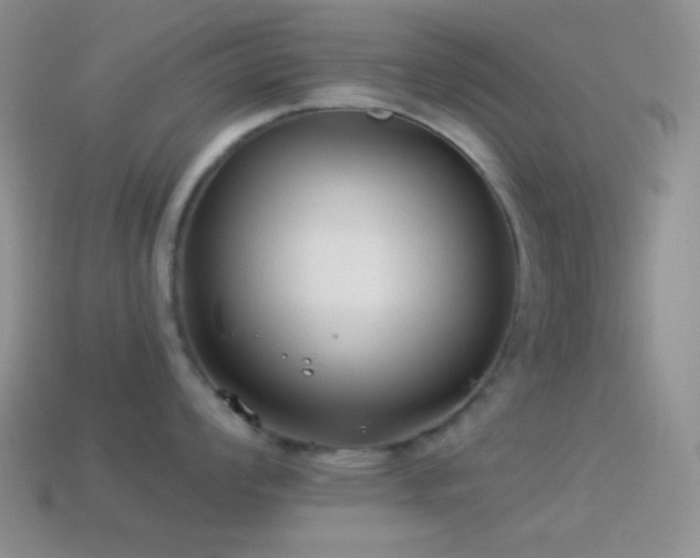 X0000114511008200910191128