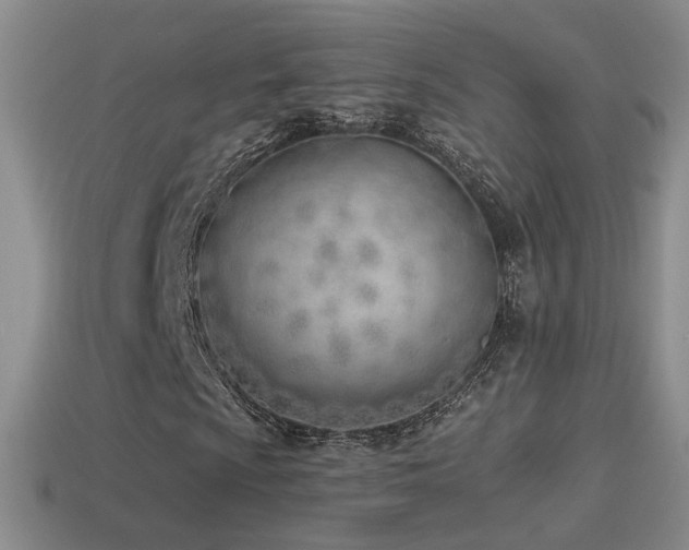 X0000114511009200910191128