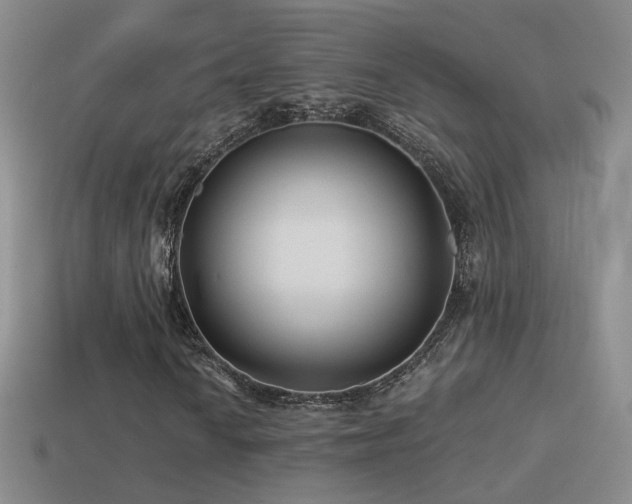 X0000114511010200910191128