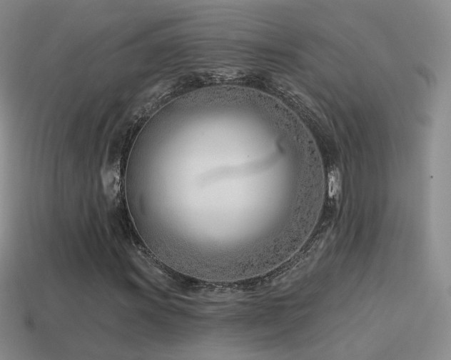 X0000114511011200910191128