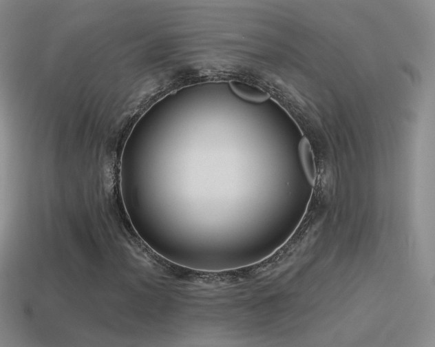 X0000114511012200910191128