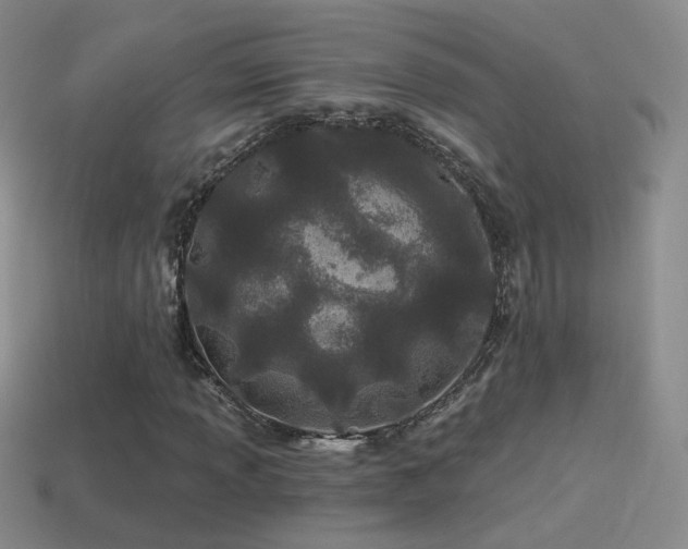X0000114511013200910191128