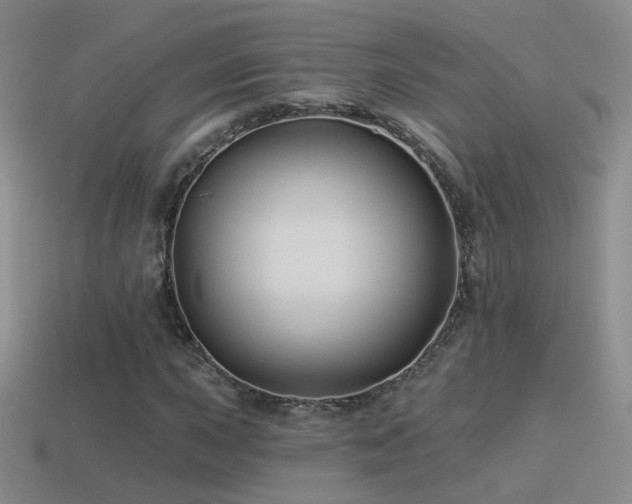 X0000114511015200910191128