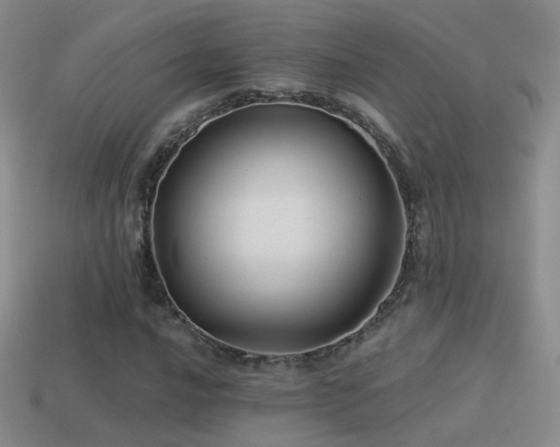 X0000114511016200910191128