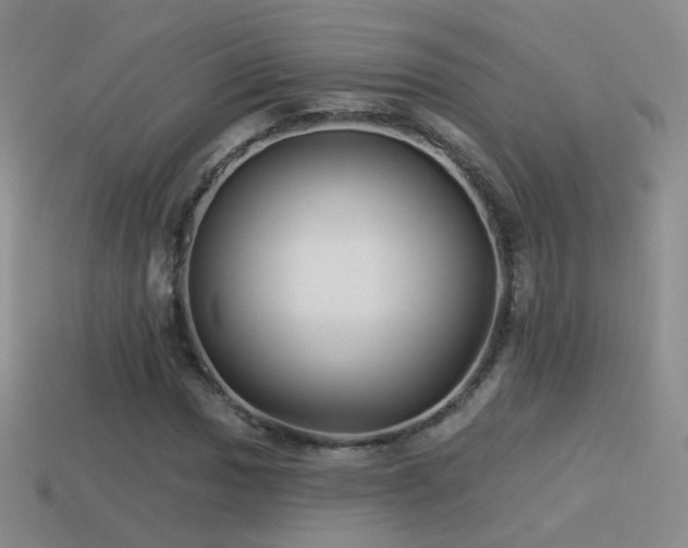 X0000114511017200910191128