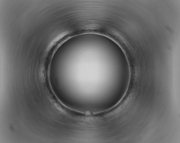 X0000114511018200910191128
