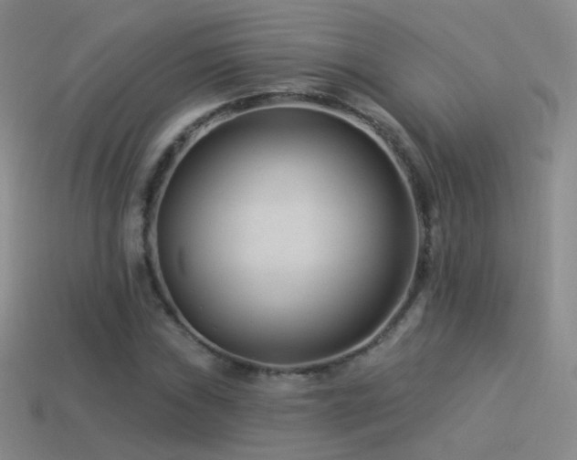 X0000114511019200910191128