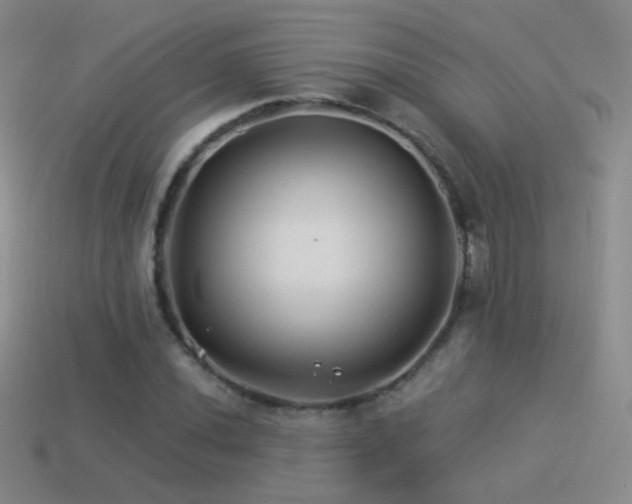 X0000114511020200910191128