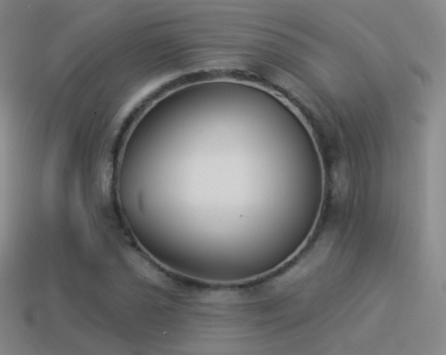 X0000114511021200910191128