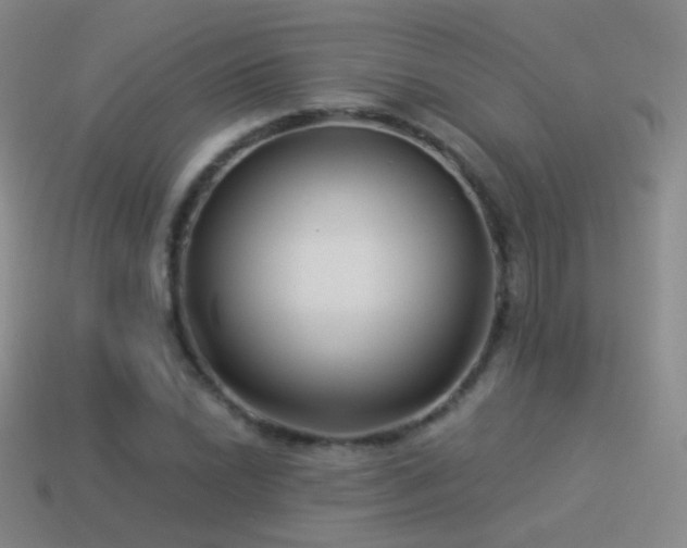X0000114511022200910191128