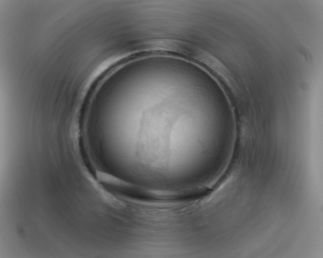 X0000114511024200910191128