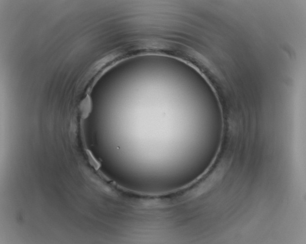 X0000114511025200910191128