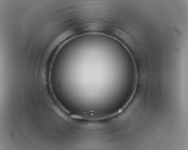 X0000114511026200910191128