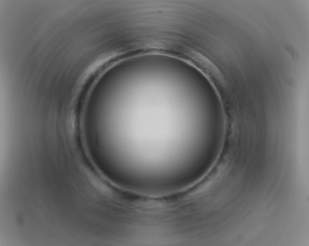 X0000114511027200910191128