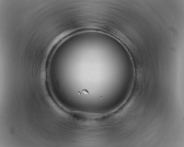 X0000114511028200910191128