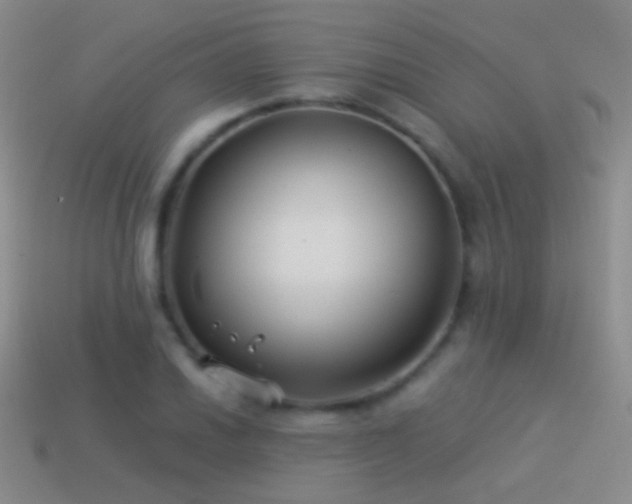 X0000114511030200910191128