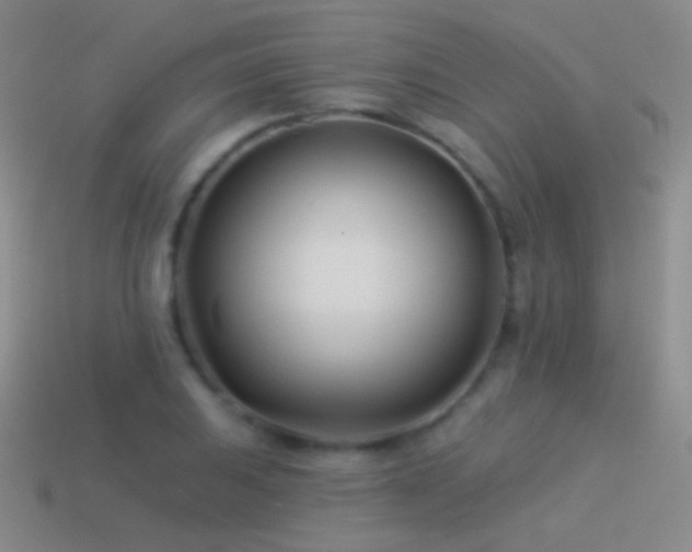 X0000114511031200910191128