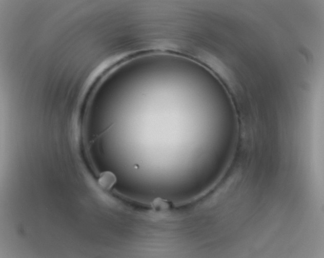 X0000114511032200910191128